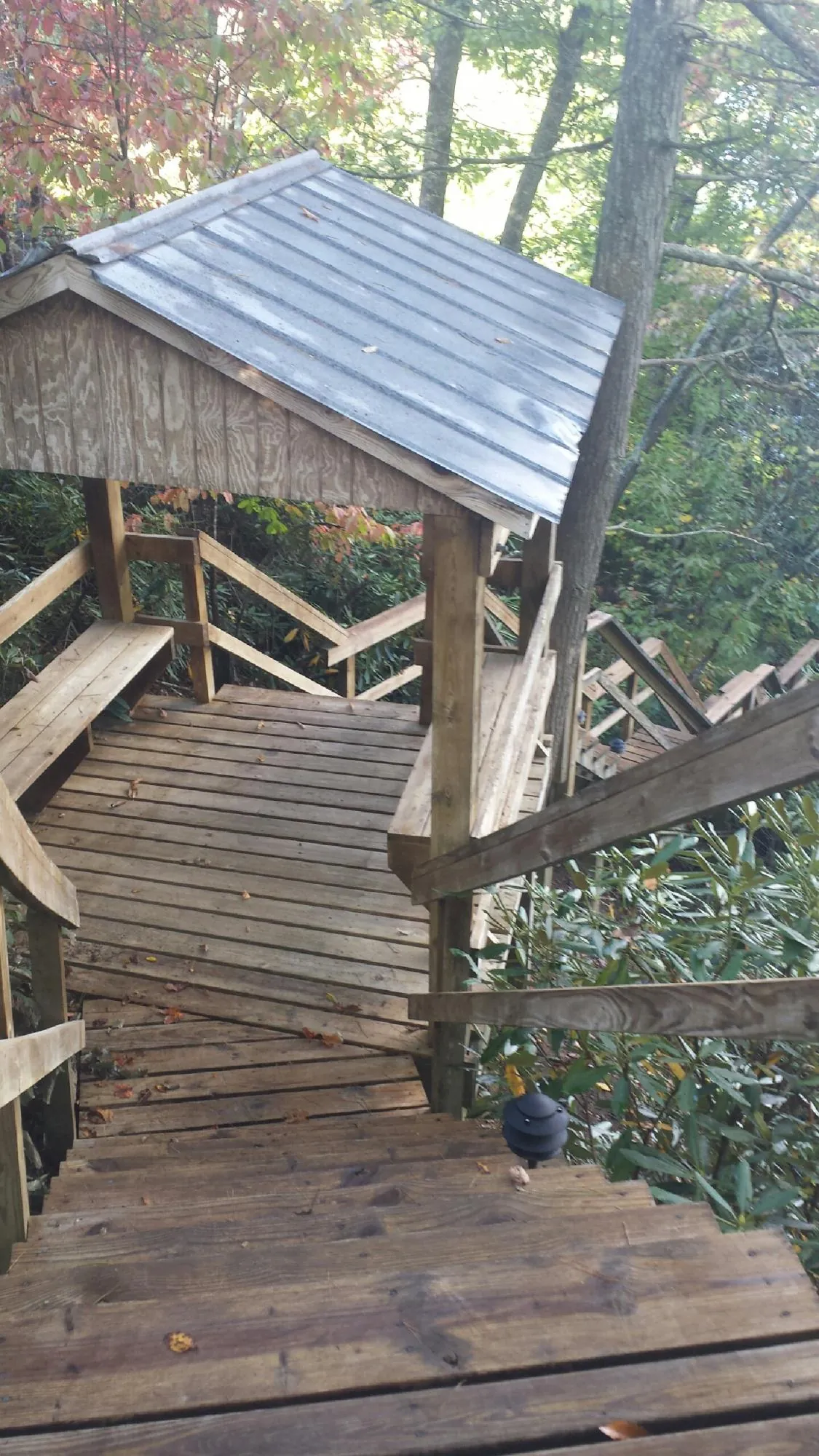 Metal roofed shelter over wooden steps on a wooded walkway — Skylight Repair & Installation work by our crew in Blencoe